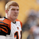 Illustration for article titled Bengals/Dolphins: A Betting Guide For Fans Of The Obvious